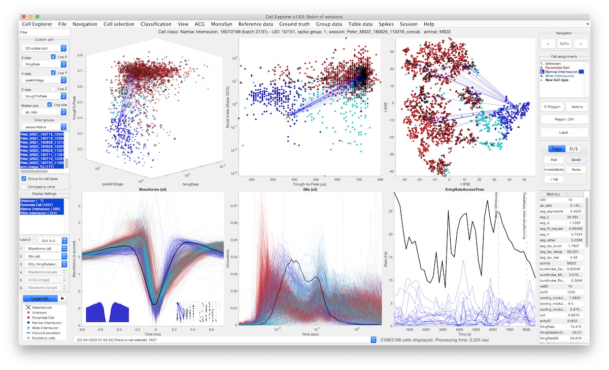 CellExplorer Interface