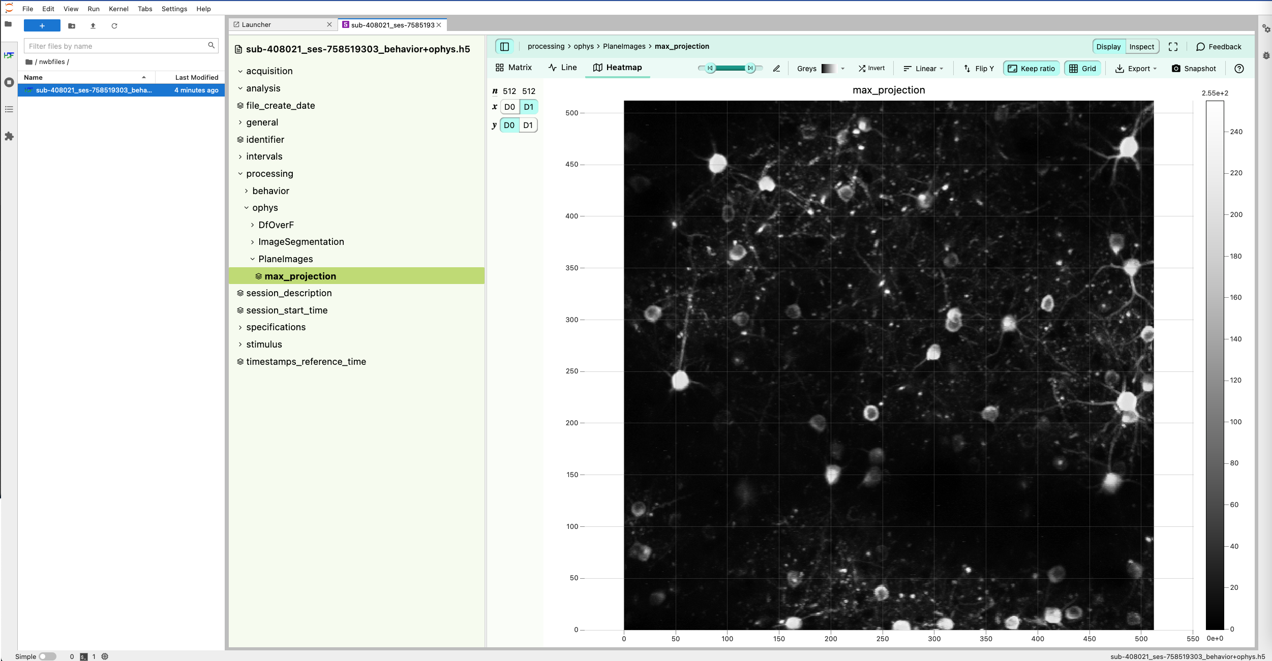 JupyterLab H5Web Example